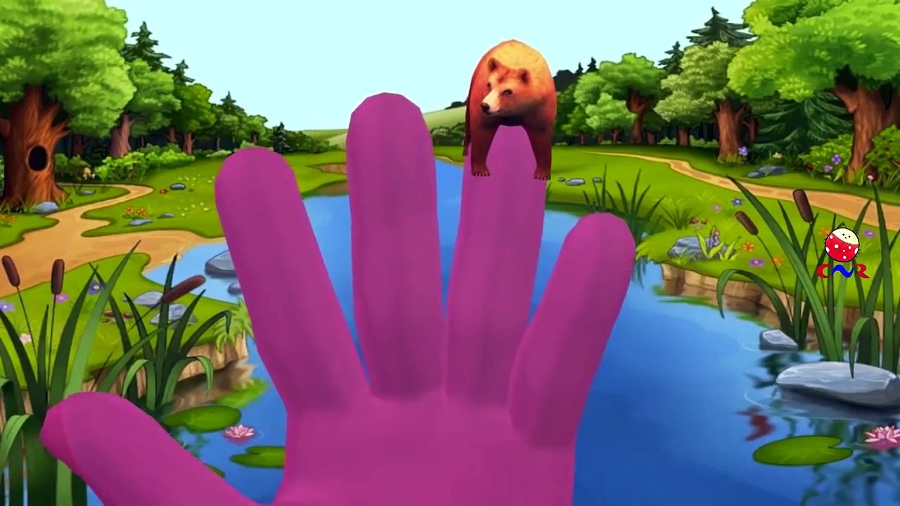 Lion Singing Finger Family Rhymes | Bear Johny Johny Yes Papa and King Kong Cartoons Nurse