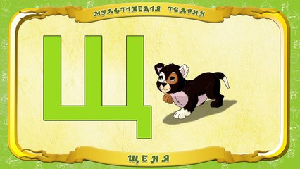 Мультіпедія тварин. Літера Щ Щеня