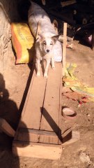 KEON BHNKTA HE ............................?