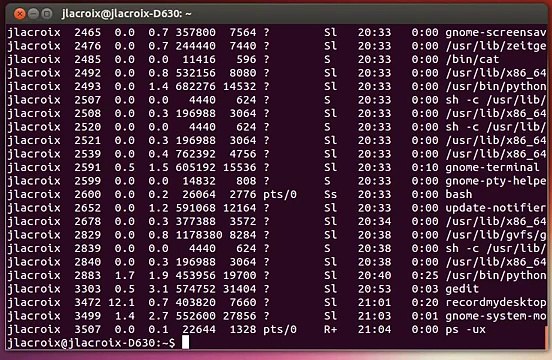 Linux Commands for Beginners- 11 - Killing Processes