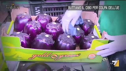 AGRICOLTORI IN GINOCCHIO,SI BUTTA IL CIBO A CAUSE DELLE DIRETTIVE DELL'UE!: VIDEO)