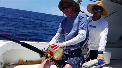 Ascensions 700 LBS Marlin Januar 2016 Big Game Fishing