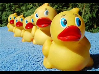 la danse des canards remix 2008!!! (français, espagnol, allemand, italien!)