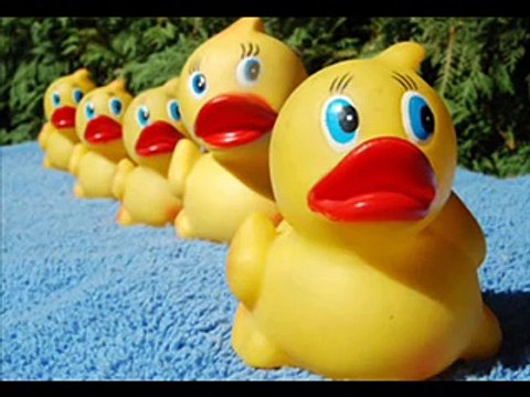 la danse des canards remix 2008!!! (français, espagnol, allemand, italien!)