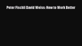 PDF Peter Fischli David Weiss: How to Work Better  EBook