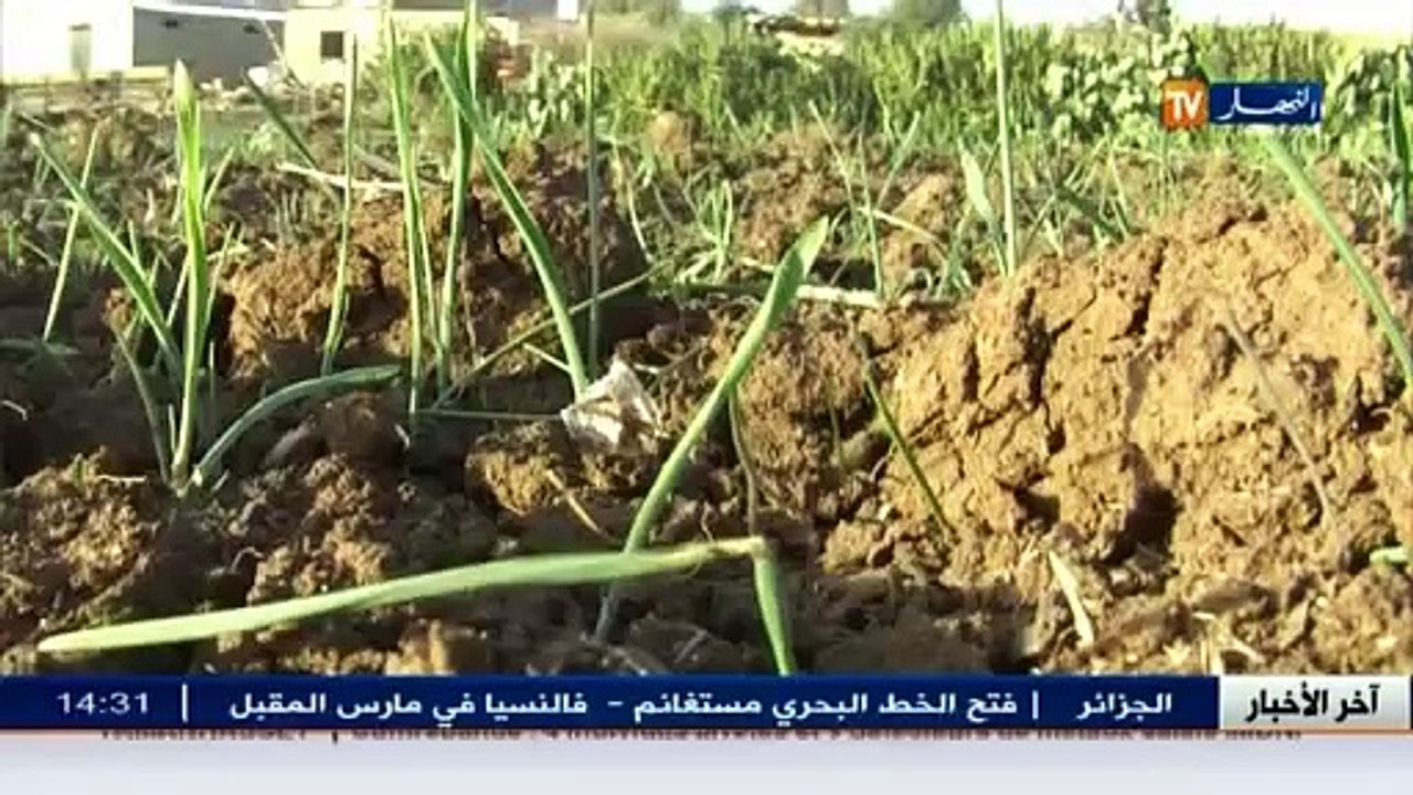 عالم المال و الأعمال في الأخبار الإقتصادية ليوم...