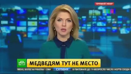 Я В ШОКЕ! МАЛЕНЬКИЙ БУЛЬДОЖКА ЧУТЬ НЕ СОЖРАЛ ТРЕХ МЕДВЕДЕЙ ПРЯМО У СЕБЯ ДОМА