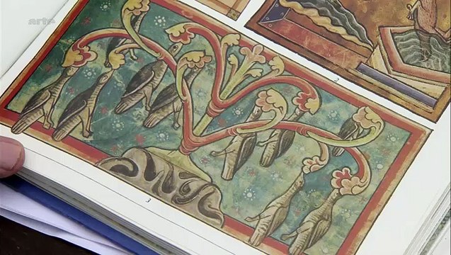 Curiosités Animales: Des Apparitions Magiques, L'hirondelle & Le Papillon