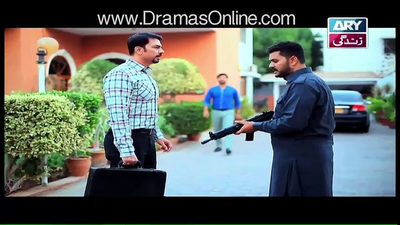 Bay Gunnah Episode 81 20 February 2016 ARY Zindagi Full Episode