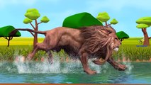 King Kong Vs Godzilla Cartoons And Lion Vs Tiger | Dinosaurs FInger Family Children Nursery Rhymes