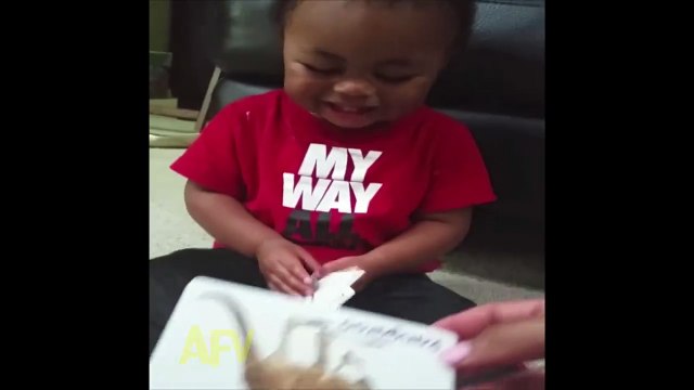 Un bébé fan d'ânes... Adorable