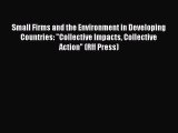 Download Small Firms and the Environment in Developing Countries: Collective Impacts Collective