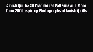 PDF Amish Quilts: 30 Traditional Patterns and More Than 200 Inspiring Photographs of Amish