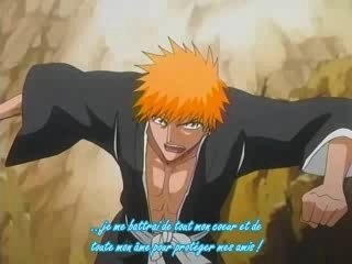 Bleach What i have done (amv)