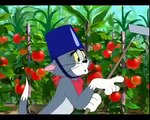 Tom and Jerry Cartoon Summer Squashing 2- 7