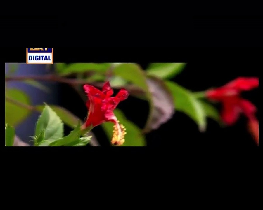 Mein Adhuri Episode 15 on Ary Digital P1