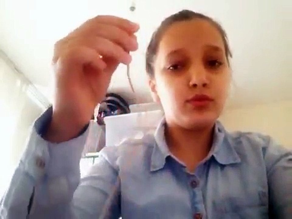 Kendin Yap DIY-Arkadaşlık Bilekliği