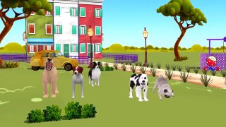 Five Little Babies | Finger Family | 40 Min Nursery Rhymes Collection | 3d Rhymes For Chil