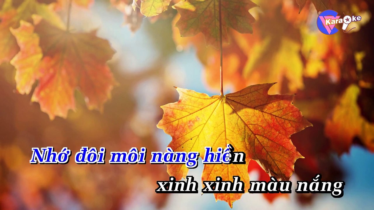Chuyện Giàn Thiên Lý - Karaoke HD [Beat Chuẩn] - (1080p)