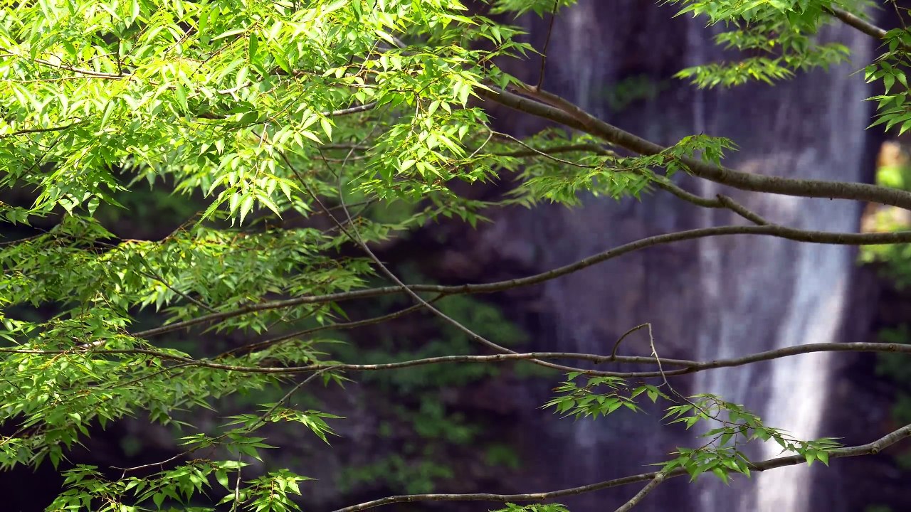 Amazing Waterfall in Japan 4K (Ultra HD)