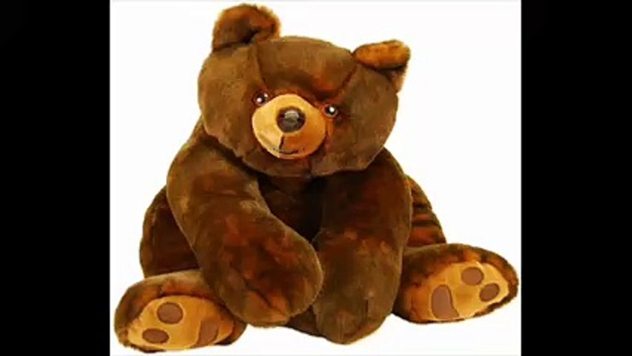 A Teddy Bear Birthday Wish.