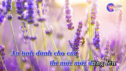 Cơn Mê Tình Ái - Karaoke HD [Beat Chuẩn] - (1080p)