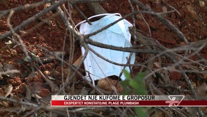 Gjendet një kufomë e groposur - News, Lajme - Vizion Plus