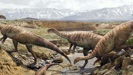 Top 10 Weird Prehistoric Creatures