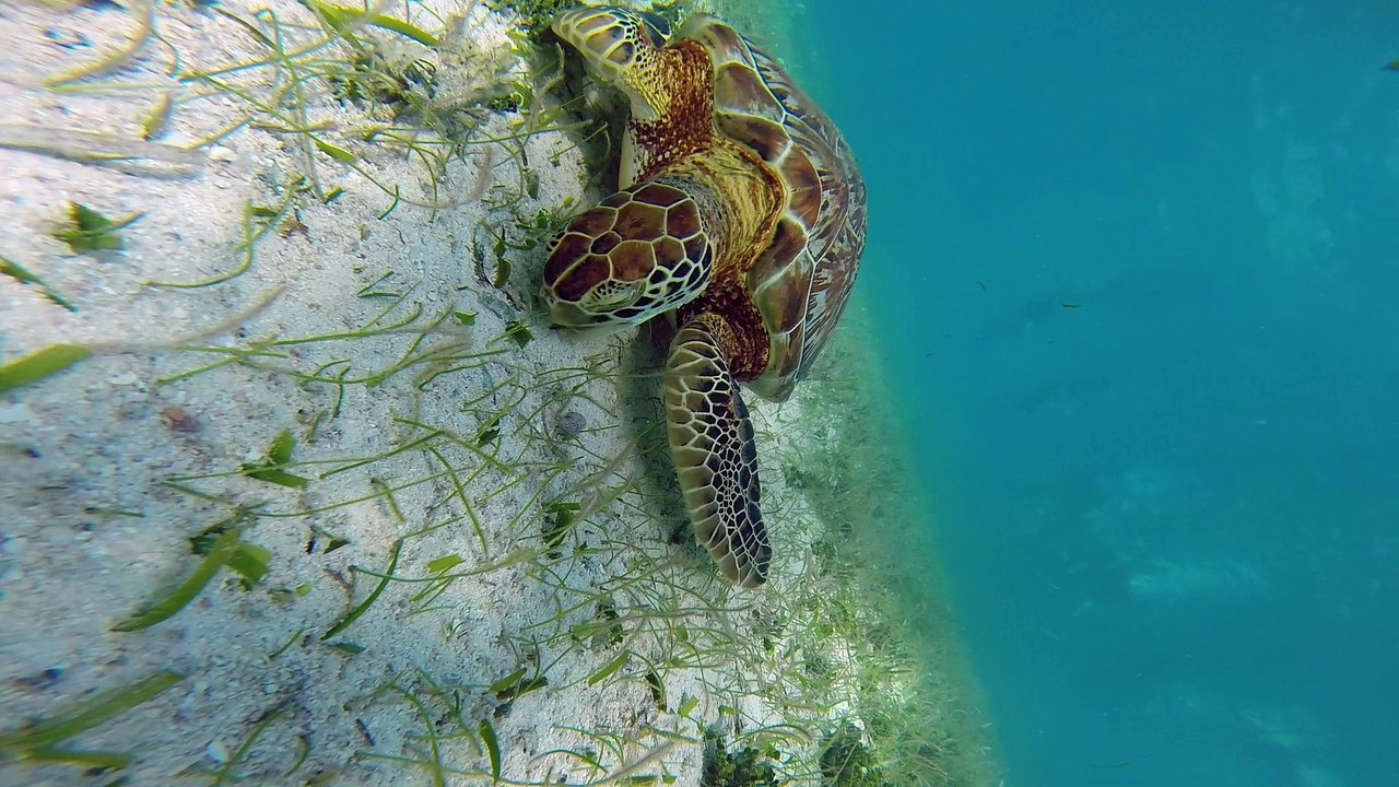 Backpackingtour through CentralAmerica.