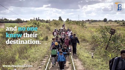 un chat retrouve ses maîtres irakiens réfugiés en Norvège