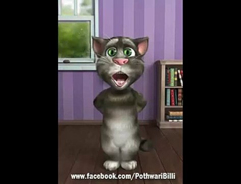 Funny- Baby Doll Main Sone di-Full Song On Demand- By Talking Tom