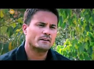 Проморолик Discovery - Золотая лихорадка