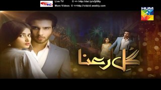 Gul e Rana Hum Tv Drama Next Episode 17 Promo (20 February 2016)