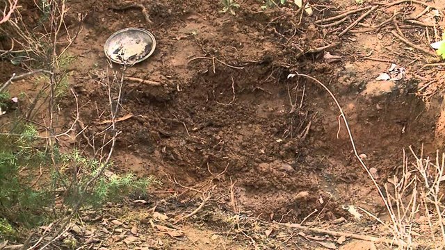 NDALOHEN DY SHTETAS SI TE DYSHUAR PER VRASJEN E VASIL BIBES QE U GJET NE DAJT LAJM mpg