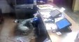 Beceriksiz Hırsız Soymaya Çalıştığı Restaurantın Asma Tavanından Aşağı Düştü