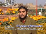 Musalmana Qadardana - Hafiz Sohail Ahmed Mashoom - Pashto Islamic Naat 2016