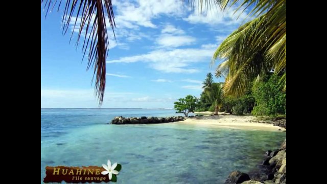 Мультик для самых маленьких. Мультик про летучие рыбы. Мультфильмы для детей до 3 лет