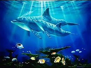 Kız Kulesi Aşıkları Şarkısı