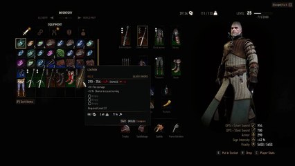 LOATHEN Silver Sword Location Guide [Level 22] The Witcher 3