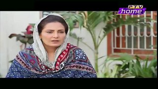 Wajood-e-Zan Episode 55 on Ptv Home - 20 Feb 2016