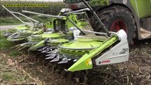 Mais Hakselen 2015 : Vital Laschet & Wiesemes, Claas Jaguar 960, Fendt 936/930, Schilberg