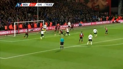 Romelu Lukaku Goal - Bournemouth 0-2 Everton 20.02.2016