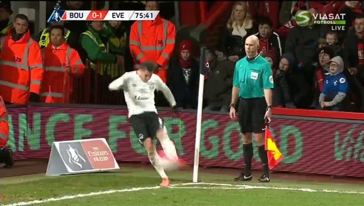 Romelu Lukaku Goal - AFC Bournemouth 0-2 Everton - 20.02.2016 HD
