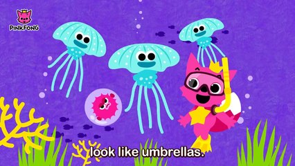 Under the Sea  Animal Songs  PINKFONG Songs for Children
