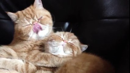 Well that's what is called true love !!