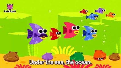 Under the Sea - Animal Songs - PINKFONG Songs for Children