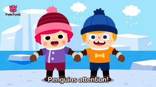 The Penguin Dance - Animal Songs - PINKFONG Songs for Children