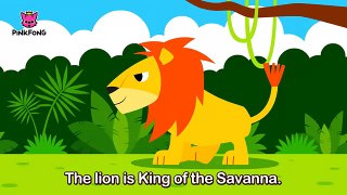 The Lion - Animal Songs - PINKFONG Songs for Children