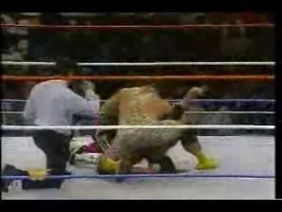 SteinersvsHarts(1-11-94)Part 1