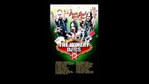 The Winery Dogs - Fire (fragment), S-klub 19.2.2016 Olomouc, Czech (1024p FULL HD)